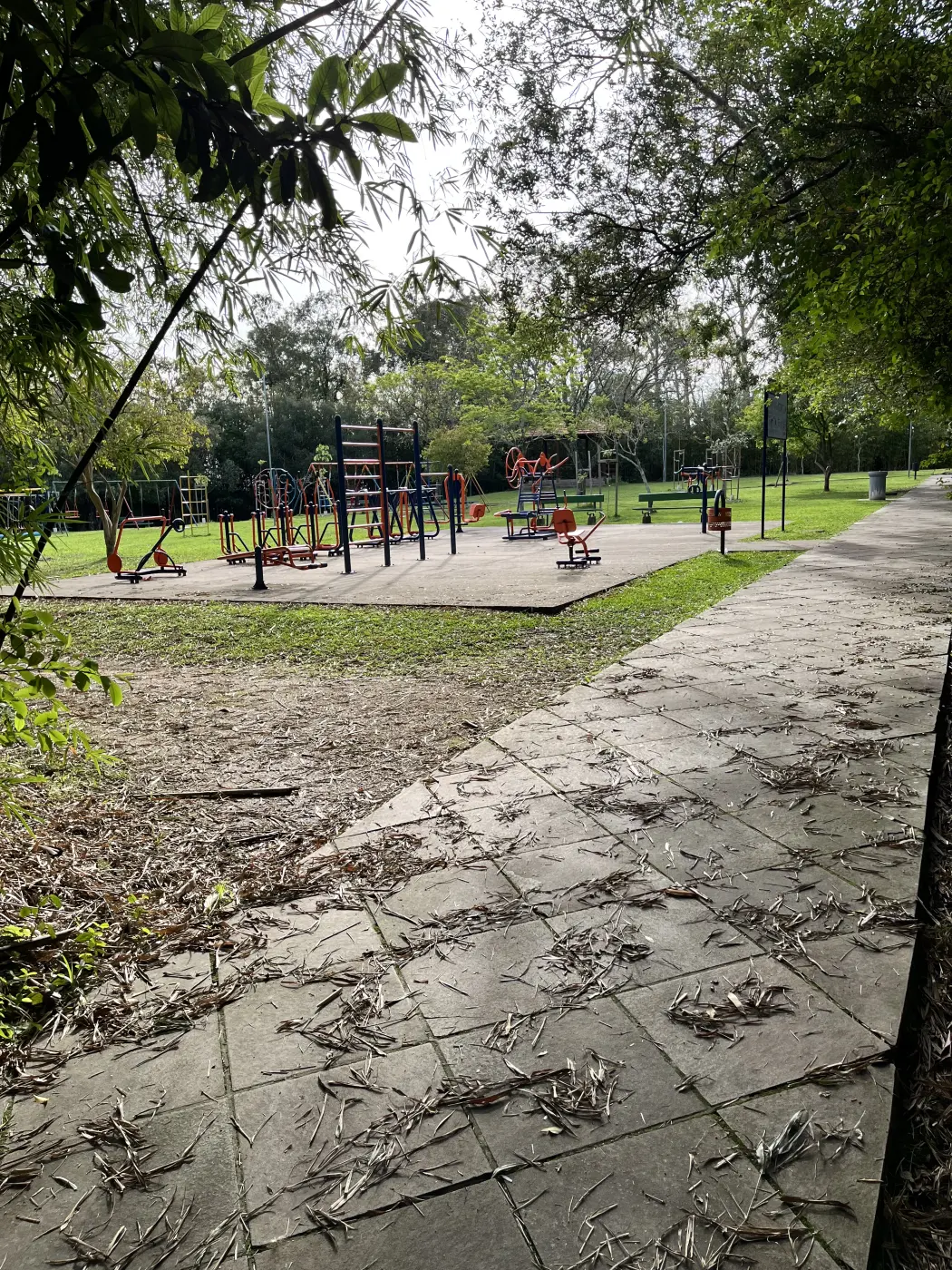 Foto 4
