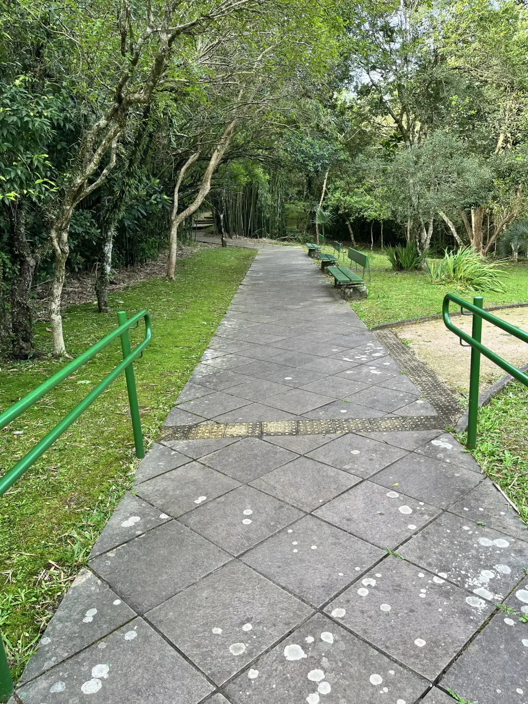 Foto 6